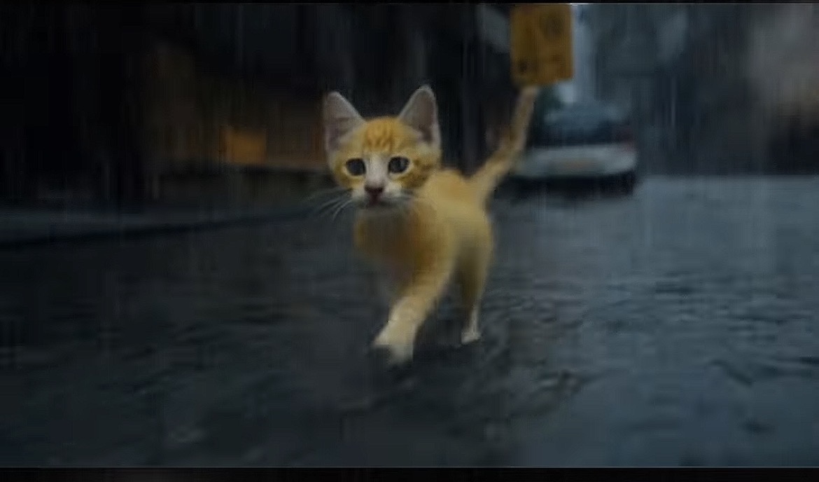 雨の中走るトラ